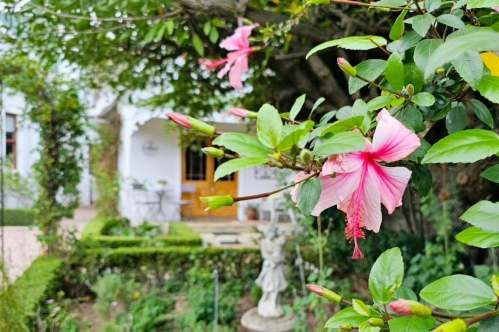 Grey Rabbit Cottage Montagu Bagian luar foto
